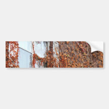 Leaf And Vine Covered Window Bumper Sticker