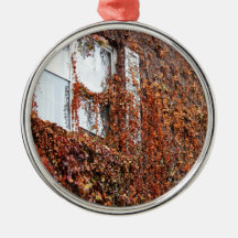 Leaf And Vine Covered Window Christmas Ornaments