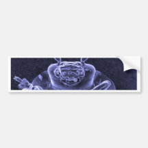 Leaf Beetle Image - Scanning Electron Microscope Bumper Sticker
