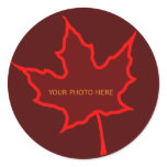 Leaf Border Stickers