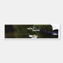 Leaf & Creek Bumper Stickers