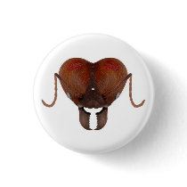 Leaf cutter ant button