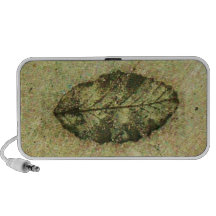 Leaf Fossil Speaker