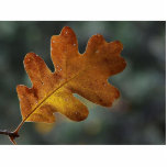 Leaf Leaves photo sculptures
