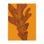 Leaf Nature Print Postcard