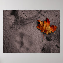 Leaf Next to Mountain Lion Footprint Poster