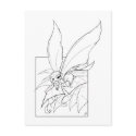 Leaf Pixi postcards