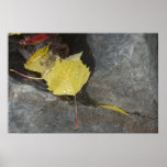 Leaf Poster posters