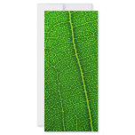 Leaf rack cards