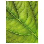 leaf texture flyers