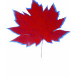 Leaf t-shirts