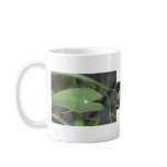 Leaf with water drop mugs