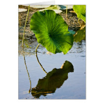 Leafing Out Greeting Card