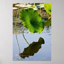 Leafing Out Print