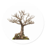 Leafless bonsai plant stickers