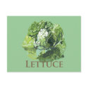 Leafy Lettuce postcards