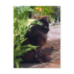 Leafy Madeleine Postcard