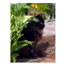 Leafy Madeleine Postcard