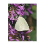 Leafy Post Cards