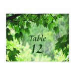 Leafy Wedding Table Number postcards