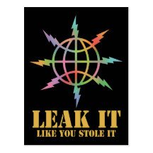 Leak It Like You Stole It Post Card