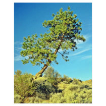 Leaning Pine Custom Flyer