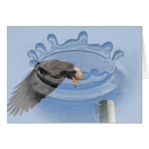 Leap of Faith; Customisable Cards