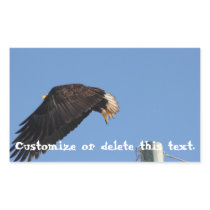Leap of Faith; Customisable