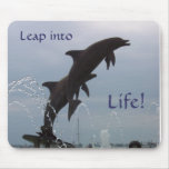 Leaping dolphins