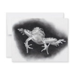 LEAPING FROG: PENCIL REALISM invitations