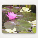leaping lilly mousepads