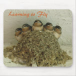 Learning to Fly mousepads
