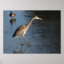 Learning To Walk On water Poster