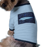 Least Cisco pet clothing