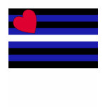 Leather Flag t-shirts