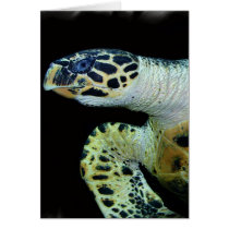 Leatherback Sea Turtle Greeting Card