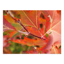 leave photo