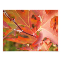 leave photo