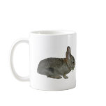 "Leave the dandelions for me!" mug