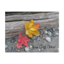 Leaves Adrift Post Card
