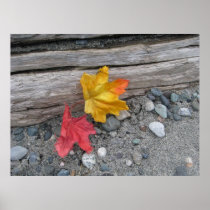 Leaves Adrift Posters