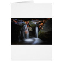 Leaves along small waterfall greeting cards