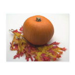 Leaves And Pumpkins Post Card