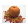 Leaves And Pumpkins Post Card
