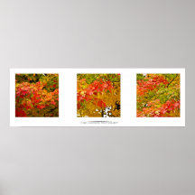Leaves in Change Art Print