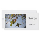 Leaves in fall photo greeting card