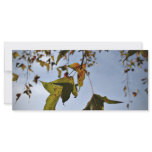 Leaves in fall rack card