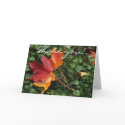 Leaves Landscape - Thank you! cards