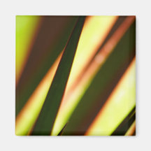 Leaves Magnet