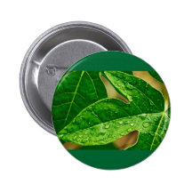 leaves me out pinback buttons